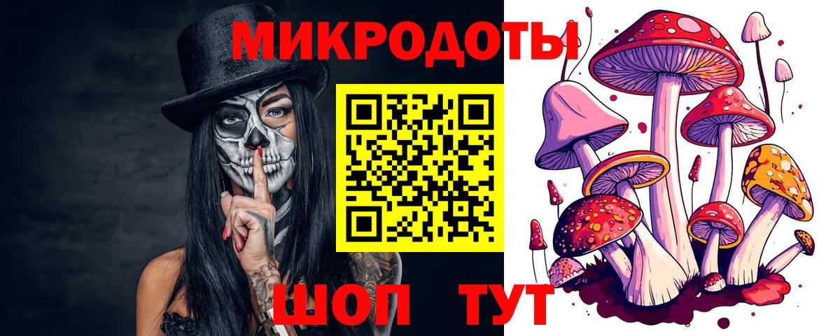 Сокол  Псилоцибиновые грибы ЛСД  Вход с VPN 